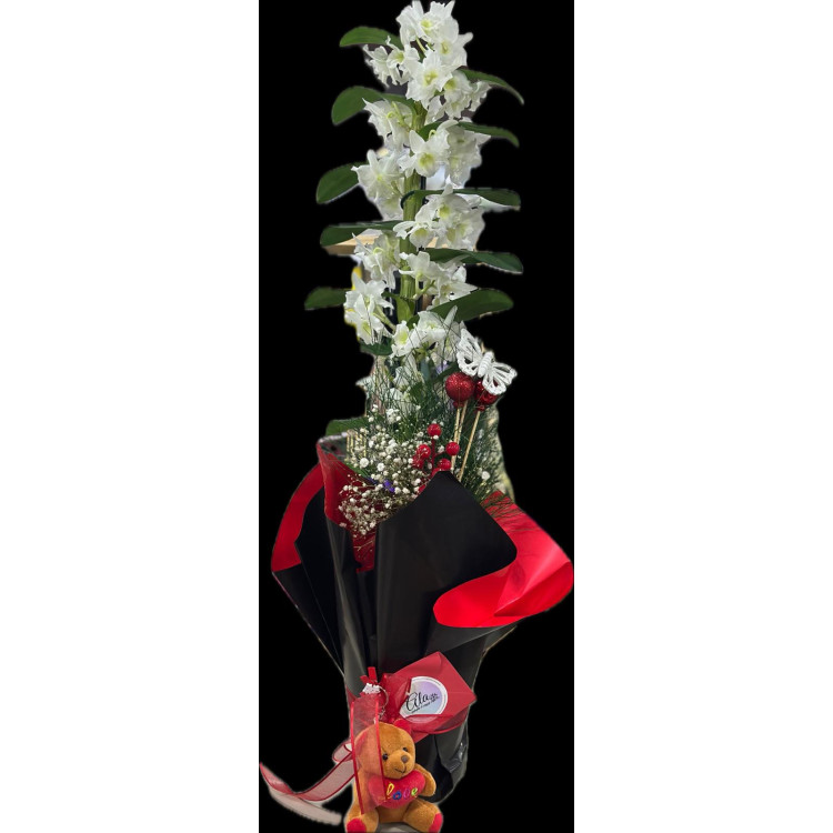 DENDROBIUM (BAMBU ORKİDE)