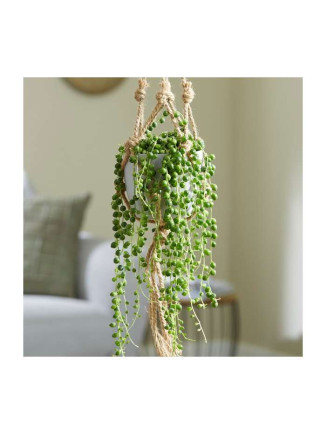 String of Pearls