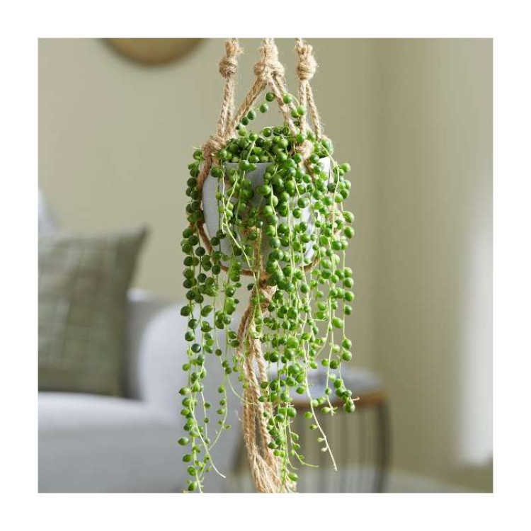 String of Pearls